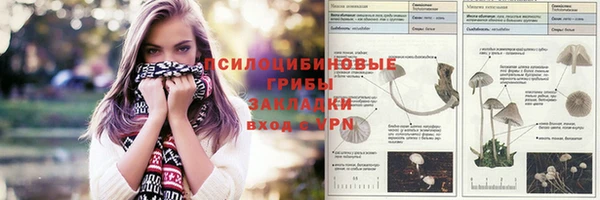 гидропоника Кукмор