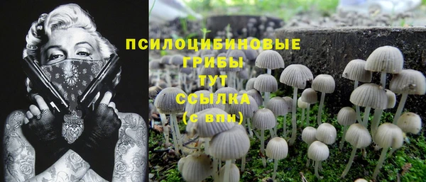 гидропоника Кукмор