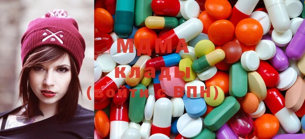 прущие грибы Мурманск