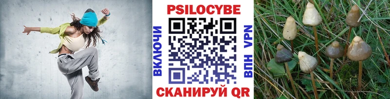 Галлюциногенные грибы Psilocybine cubensis  Кирс 